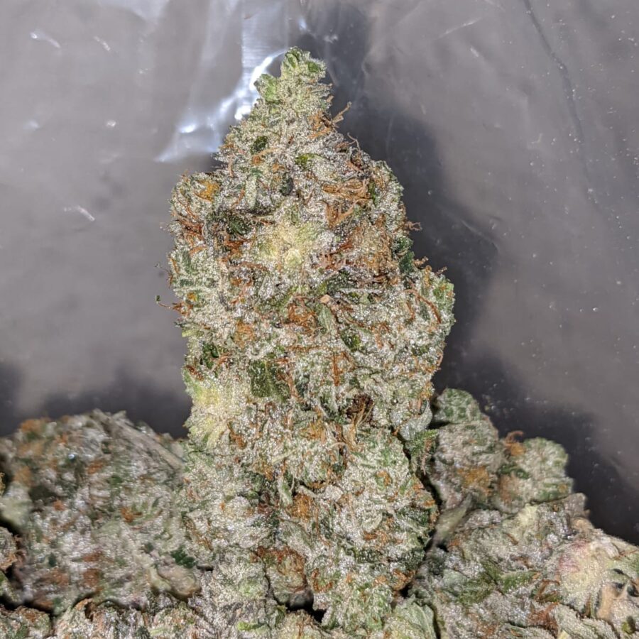 TONYS BRUCE BANNER 1 I Tony's Bruce Banner #2