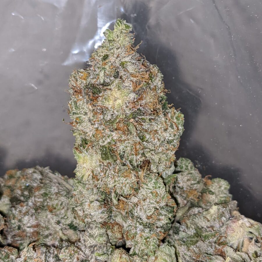 TONYS BRUCE BANNER 2 I Tony's Bruce Banner #2