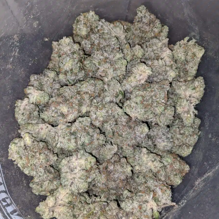 Alternative view of Tony's Bruce Banner #2