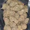 Blue Coma - *Deal Of The Day*