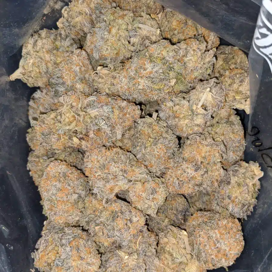 Blue Coma - *Deal Of The Day*