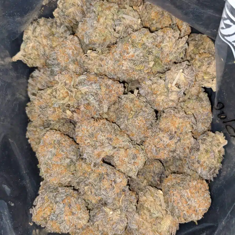Alternative view of Blue Coma - *Deal Of The Day*