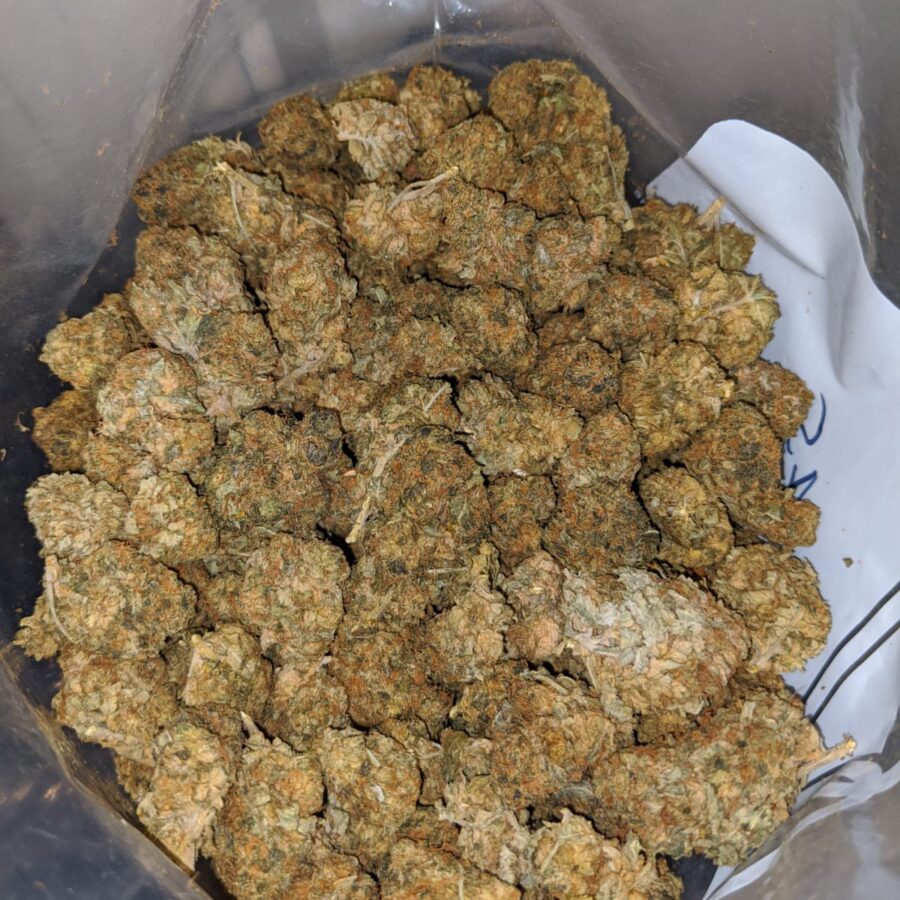 aa black haze 4 I AA+ Black Haze