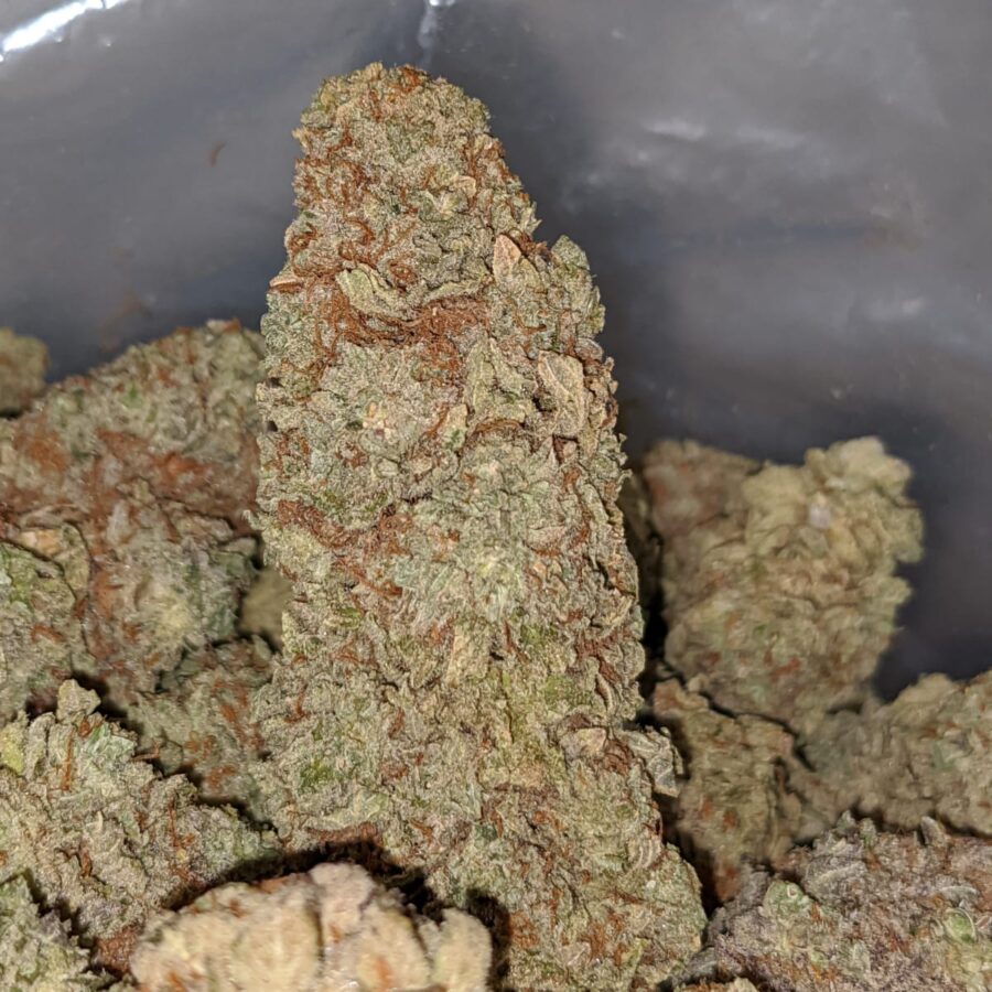 black haze 1 I Black Haze