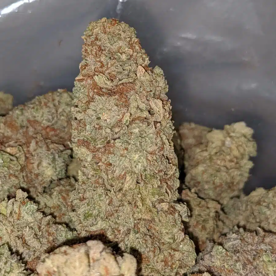 black haze 1 I Black Haze