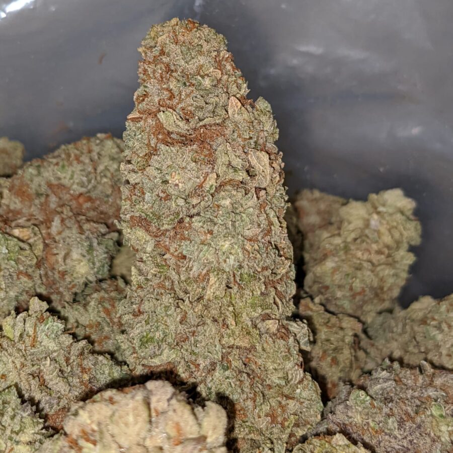 black haze 2 I Black Haze