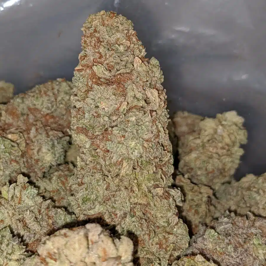 black haze 2 I Black Haze