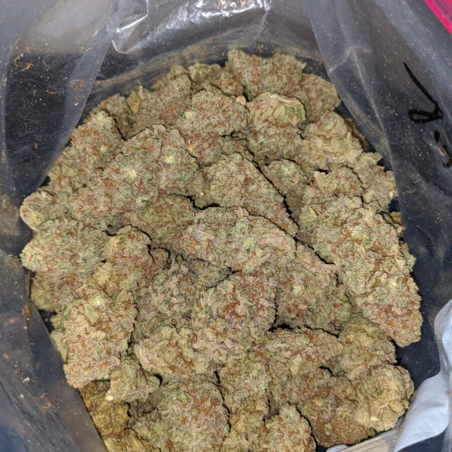 black haze 3 I Black Haze