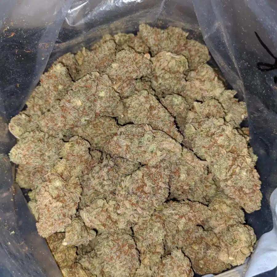 black haze 4 I Black Haze