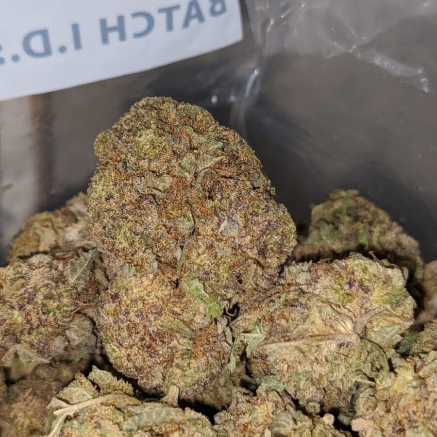 black poison bulk special 2 I Black Poison Bulk Special