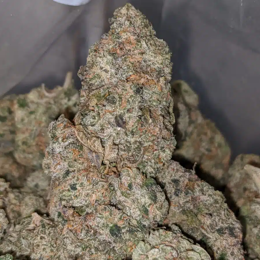 blackberry cream 1 I Blackberry Cream