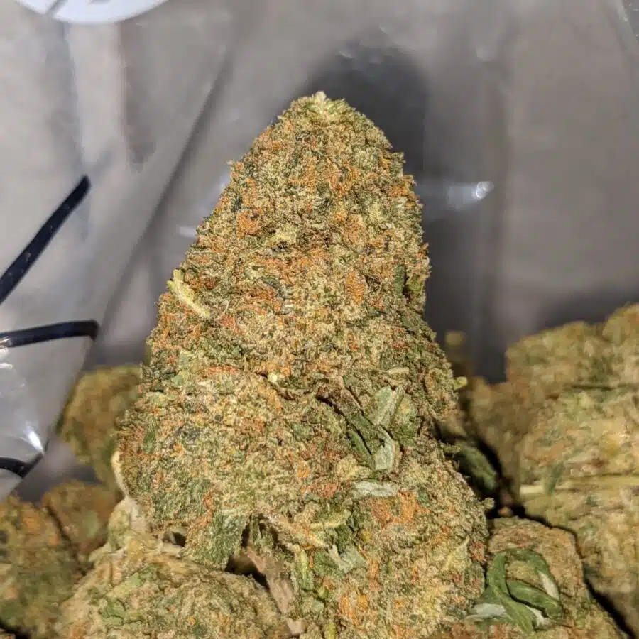 bubba kush bulk special 1 I Bubba Kush Bulk Special