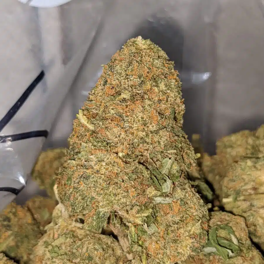 bubba kush bulk special 2 I Bubba Kush Bulk Special