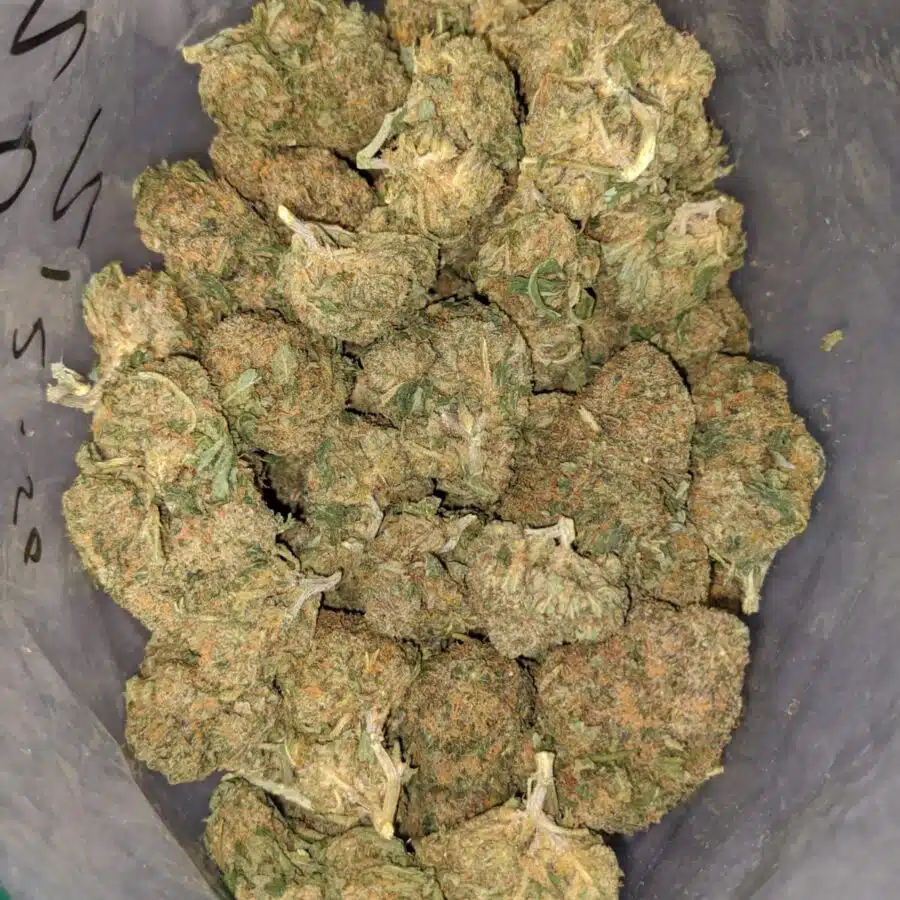 bubba kush bulk special 3 I Bubba Kush Bulk Special