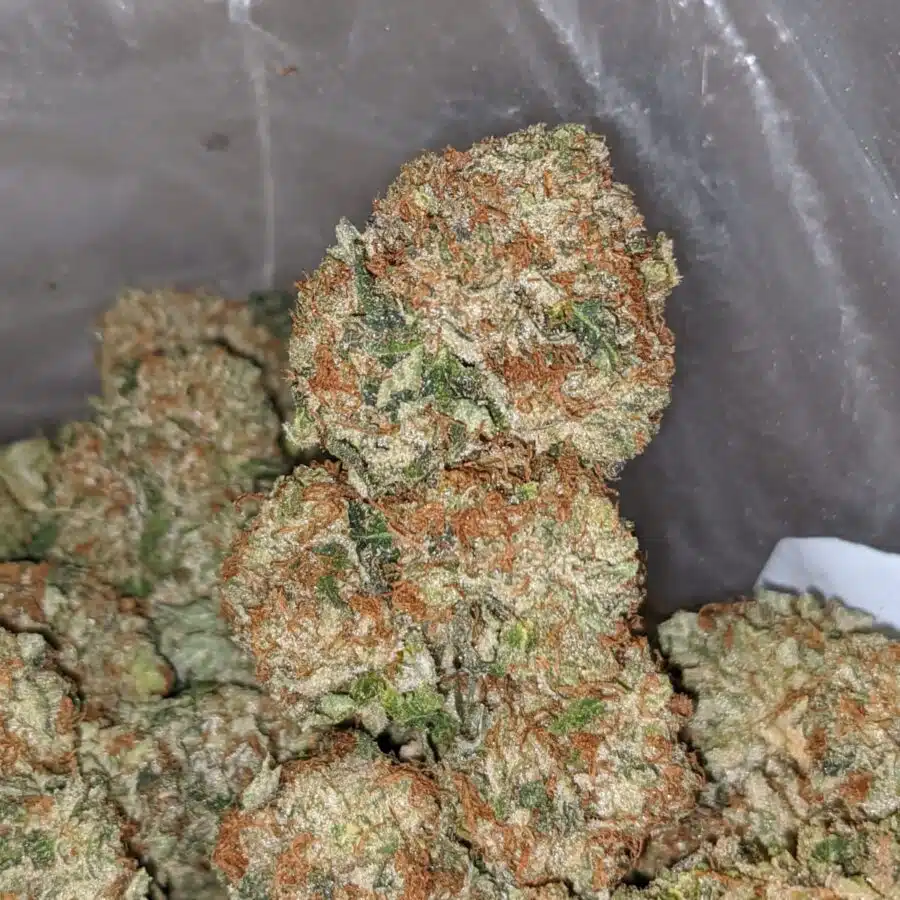chemo kush aaa 1 I Chemo Kush AAA
