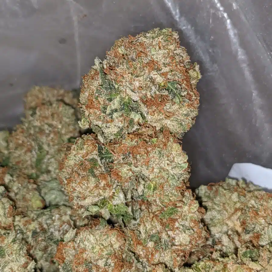 chemo kush aaa 2 I Chemo Kush AAA