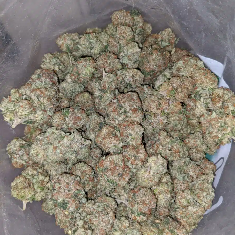 chemo kush aaa 3 I Chemo Kush AAA