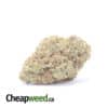 Dosi OG - *Deal Of The Day*
