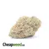 Dosi OG - *Deal Of The Day*