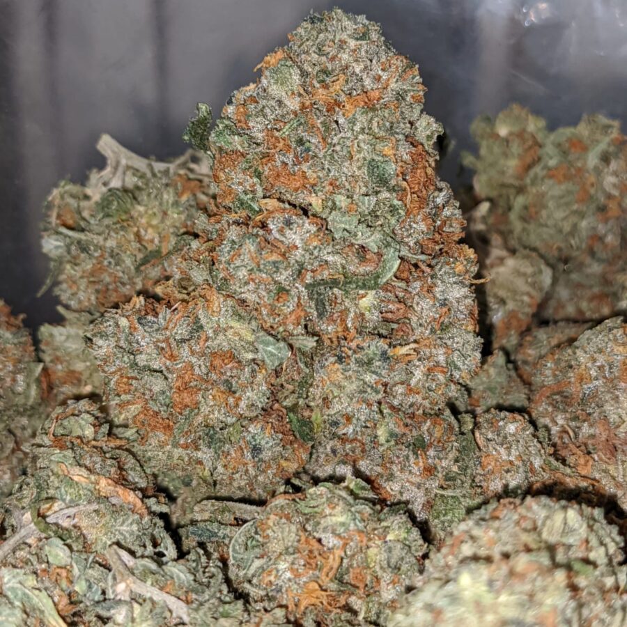 g 13 classic 2 I G13 Classic