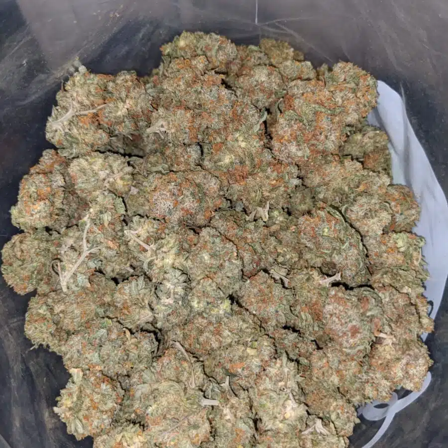 g 13 classic 3 I G13 Classic