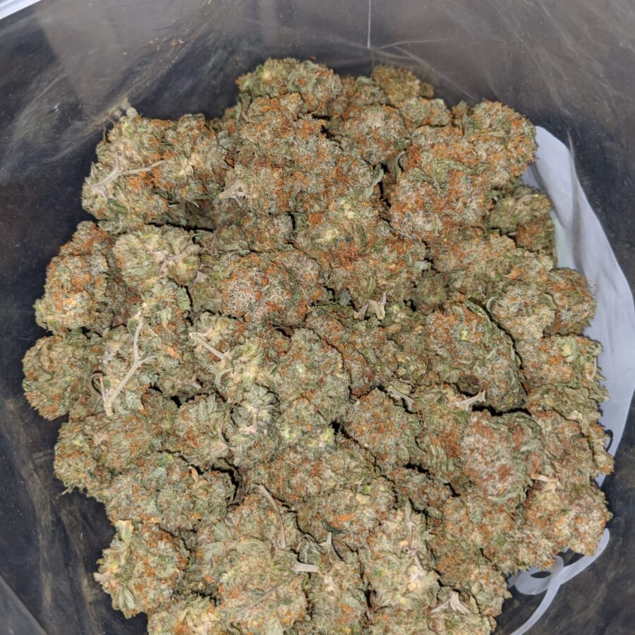 g 13 classic 4 I G13 Classic