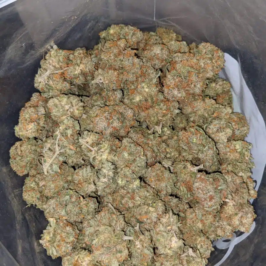 g 13 classic 4 I G13 Classic