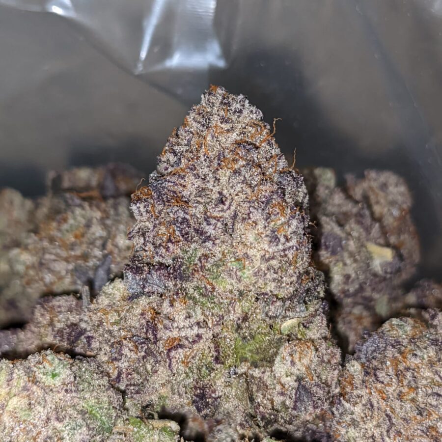 grape ape aaaa 1 I Grape Ape AAAA