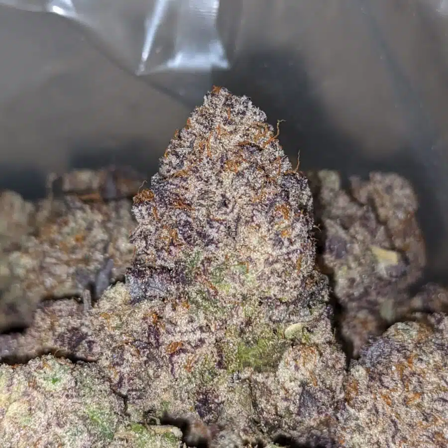 grape ape aaaa 1 I Grape Ape AAAA