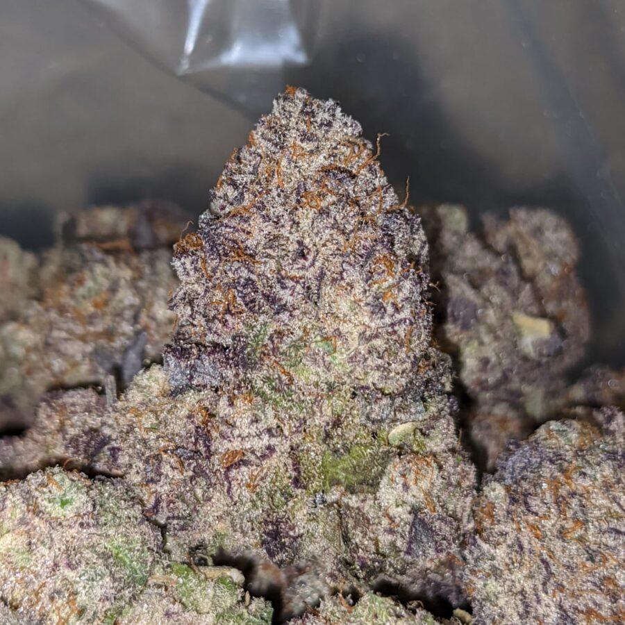 grape ape aaaa 2 I Grape Ape AAAA