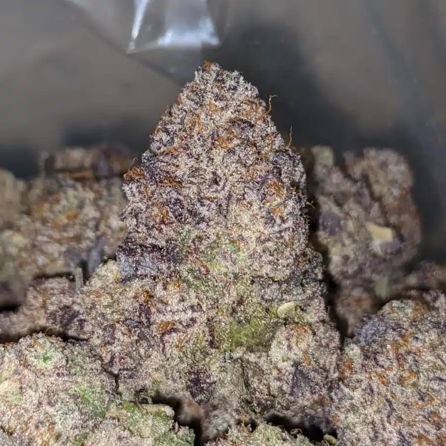 grape ape aaaa 2 I Grape Ape AAAA