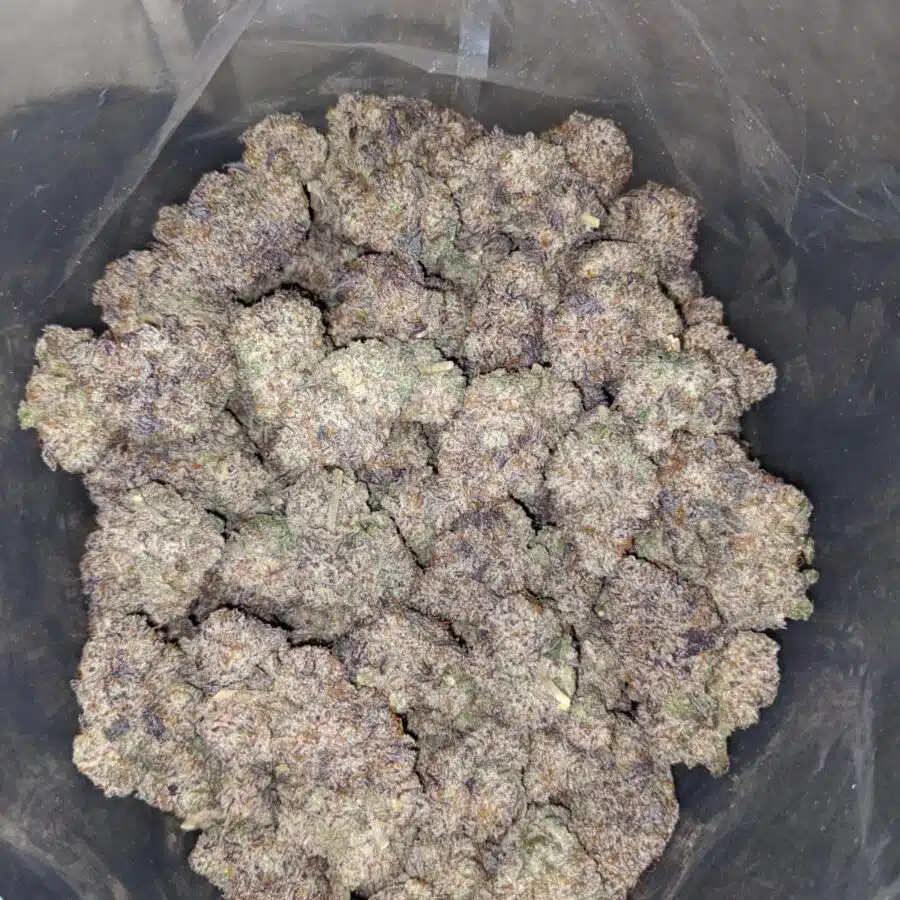 grape ape aaaa 3 I Grape Ape AAAA