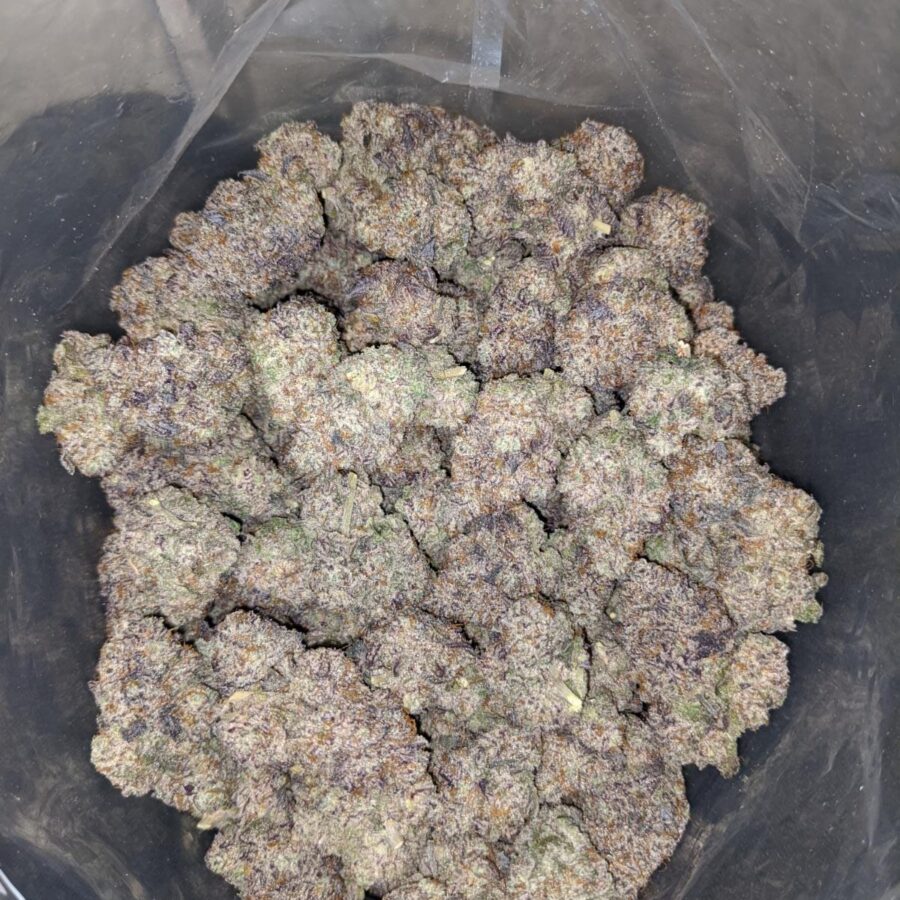 grape ape aaaa 4 I Grape Ape AAAA