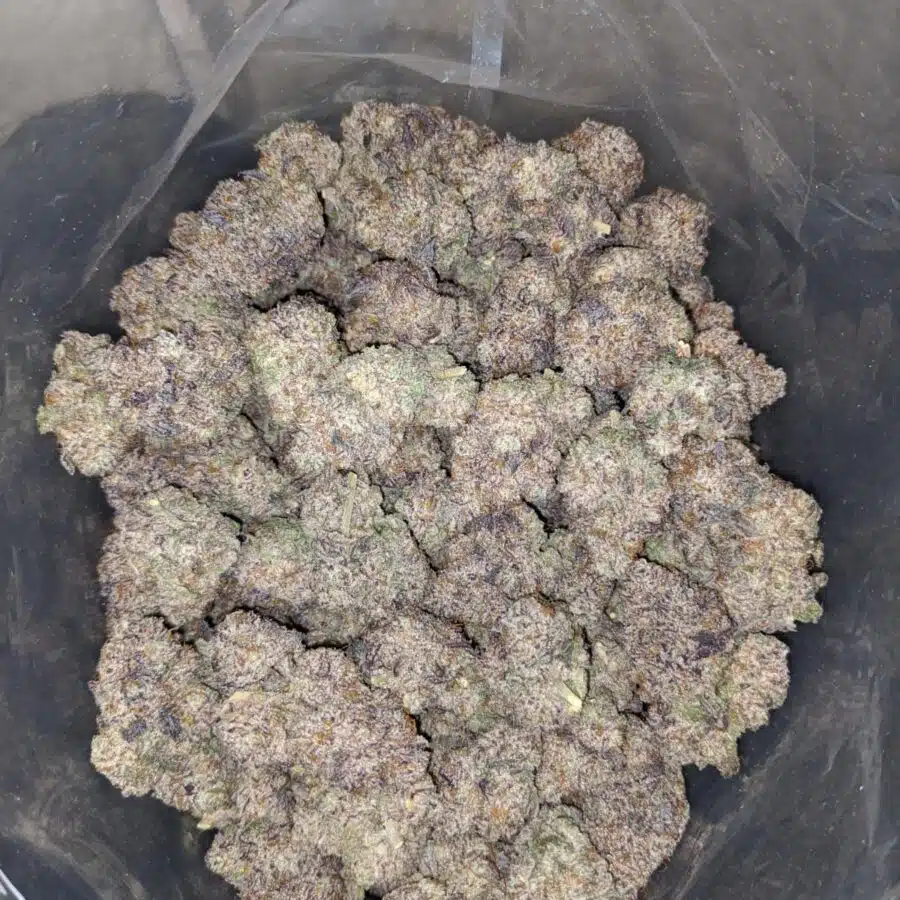 grape ape aaaa 4 I Grape Ape AAAA