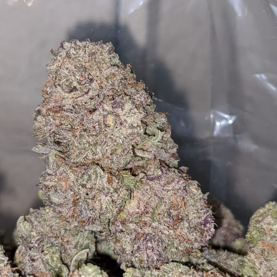 Grape Bubblegum - Image 4
