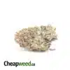 Green Bubba - *Deal OF The Day*