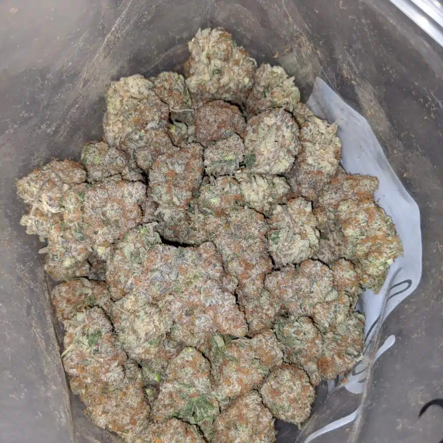 green crack aaa 3 I Green Crack AAA