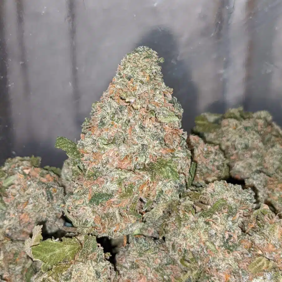 green wreck dod 1 I Green Wreck - *Deal Of The Day*