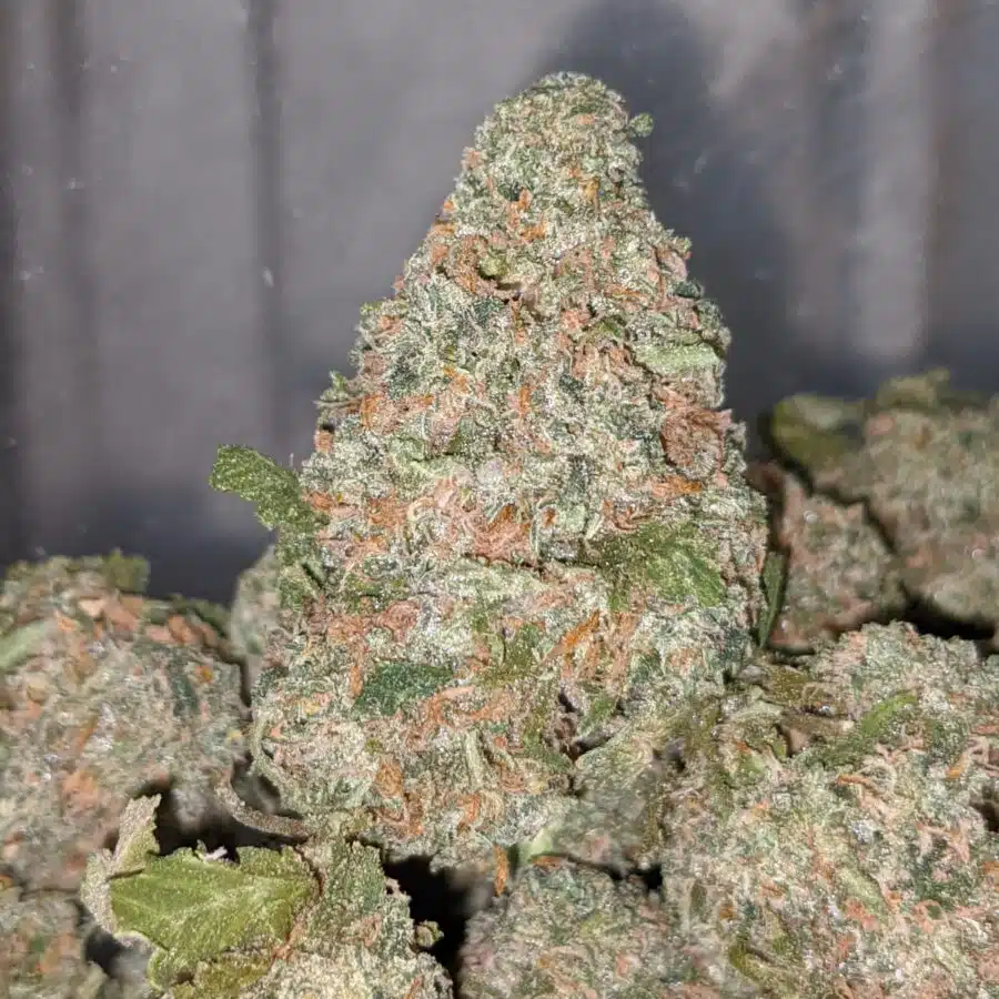 green wreck dod 2 I Green Wreck - *Deal Of The Day*