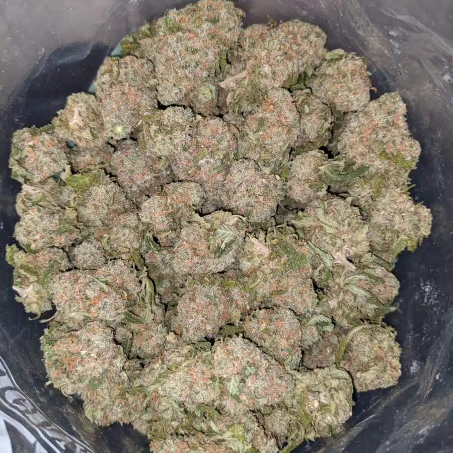 green wreck dod 3 I Green Wreck - *Deal Of The Day*