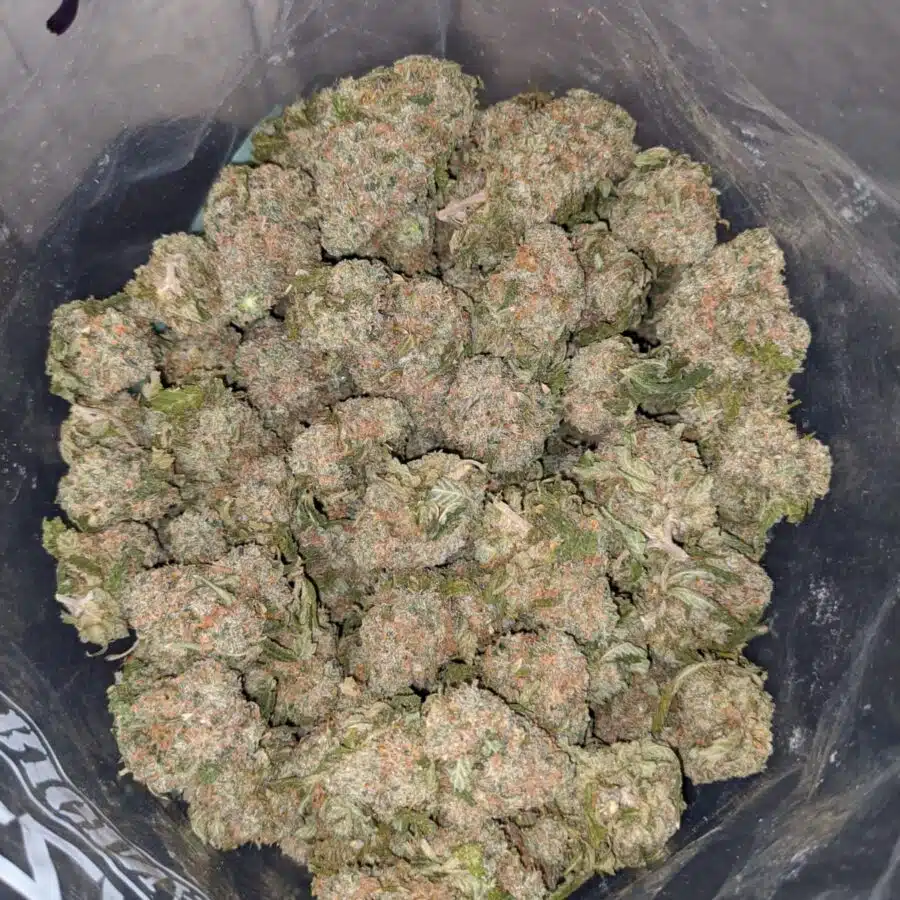 green wreck dod 4 I Green Wreck - *Deal Of The Day*