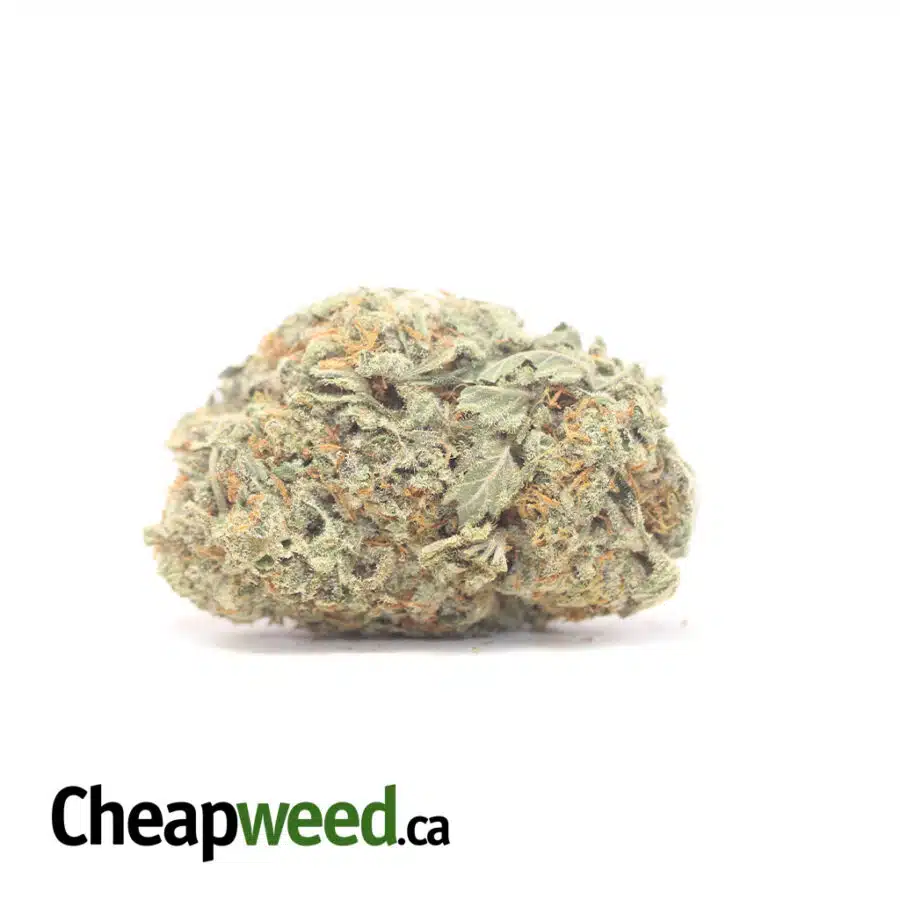 Ice Kush AAA