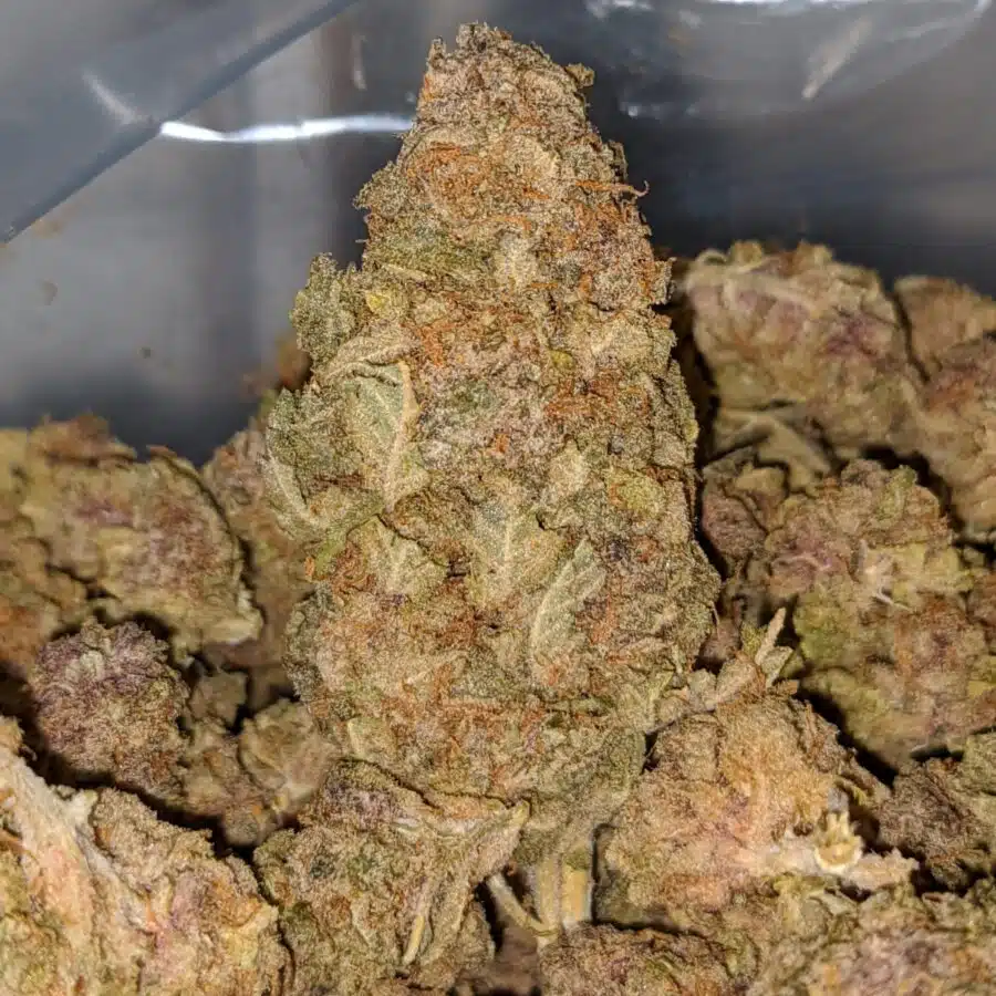 orange candy bulk special 1 I Orange Candy Bulk Special