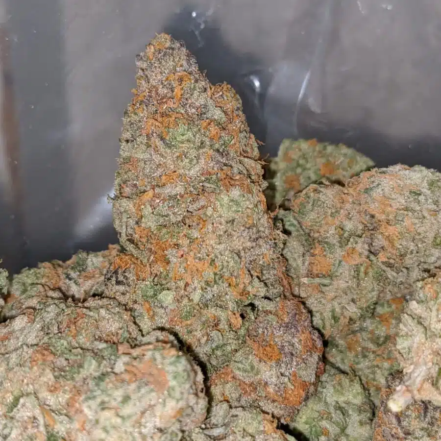 orange creamsickle 1 I Orange Creamsicle