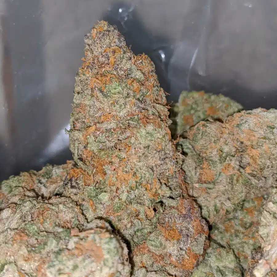 orange creamsickle 2 I Orange Creamsicle