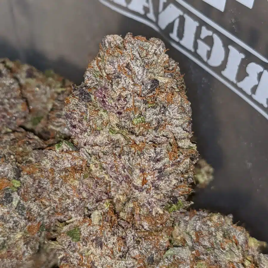 pink rockstar aaaa 2 I Pink Rockstar AAAA+