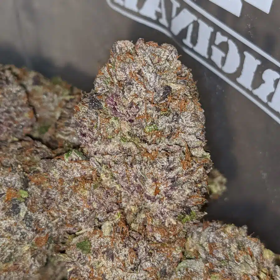 pink rockstar aaaa 3 I Pink Rockstar AAAA+