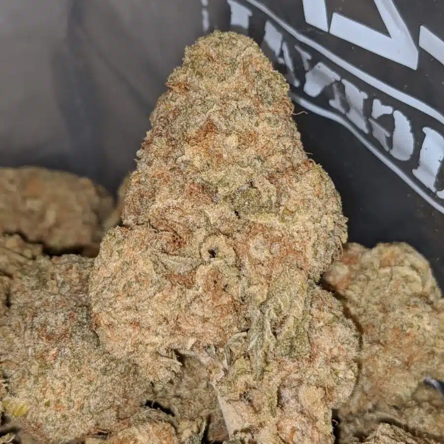 platinum lemon haze 1 I Platinum Lemon Haze