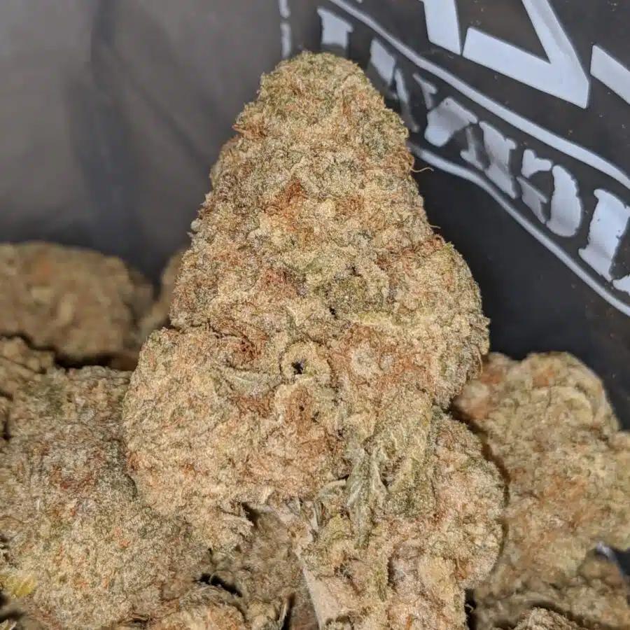 platinum lemon haze 2 I Platinum Lemon Haze