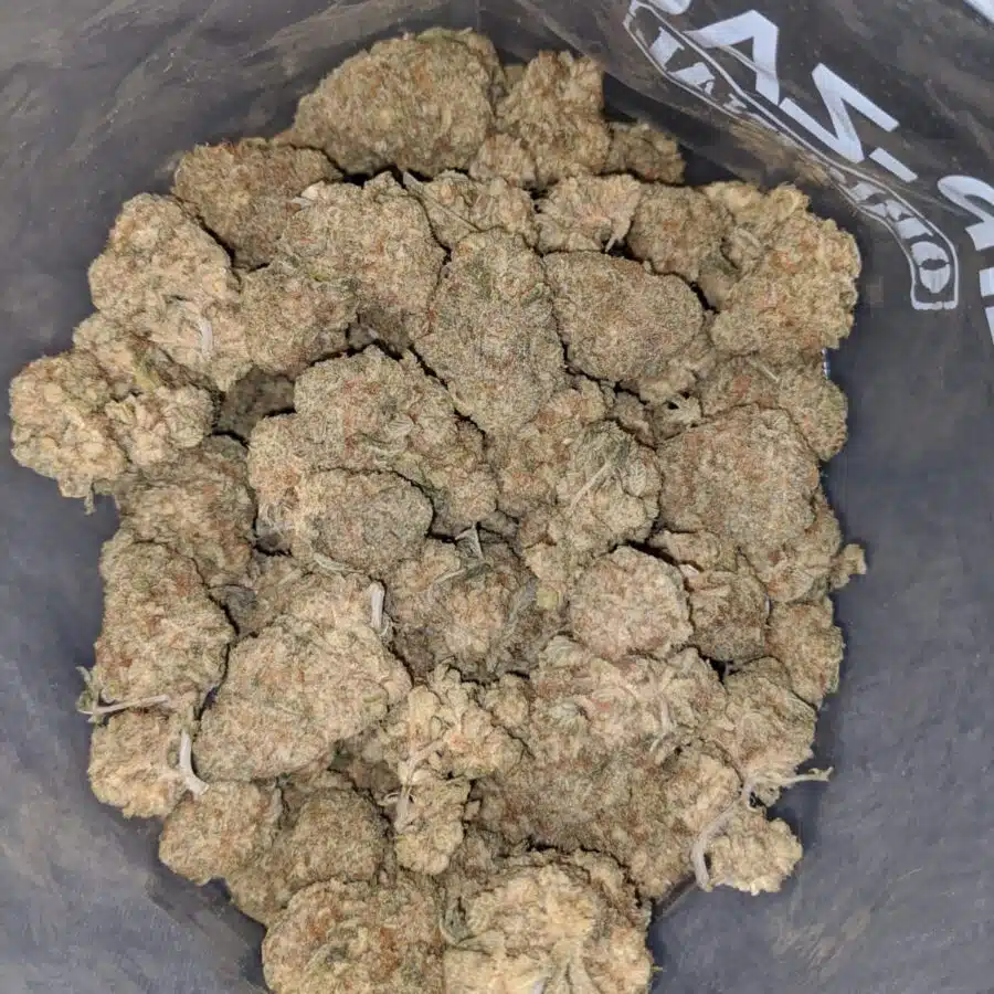 platinum lemon haze 3 I Platinum Lemon Haze